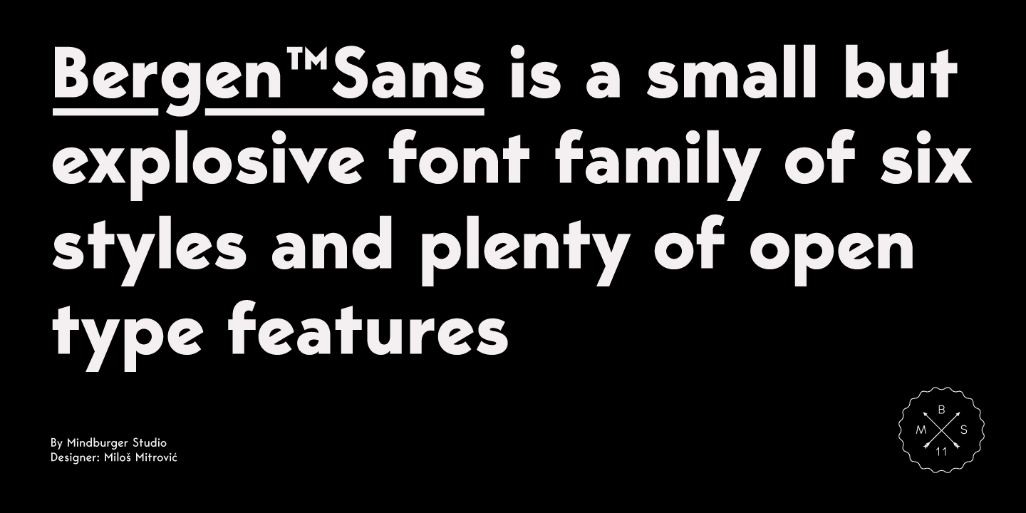 폰트 Bergen Sans