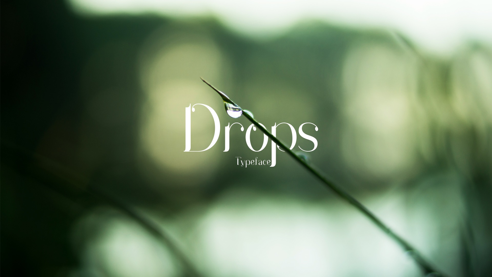 폰트 Drops
