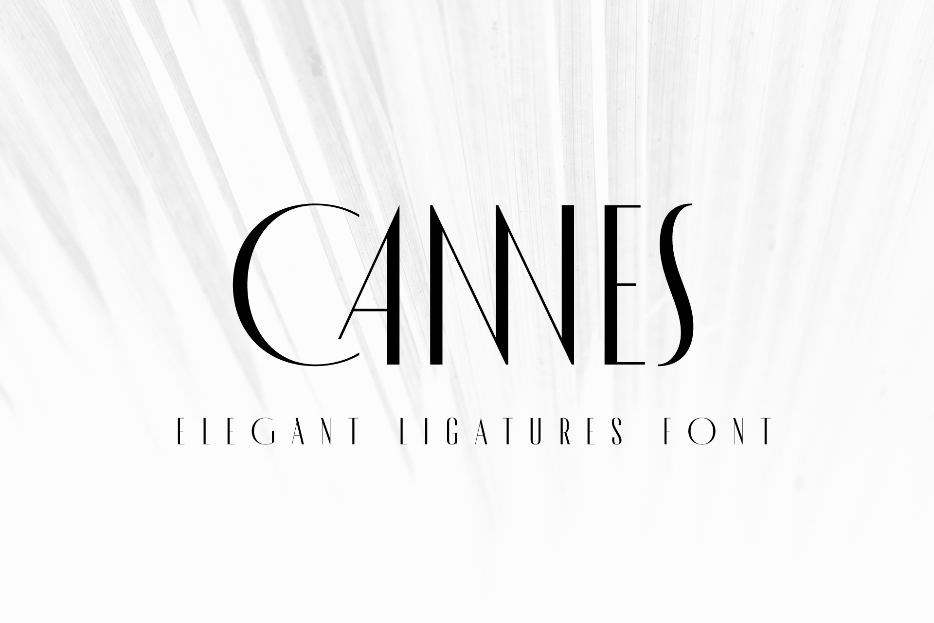 폰트 MADE Cannes