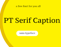 PT Serif Caption
