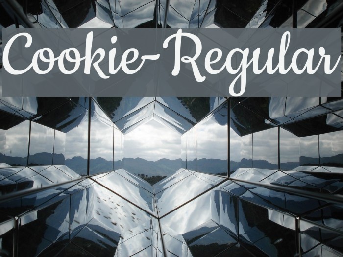 폰트 Cookie