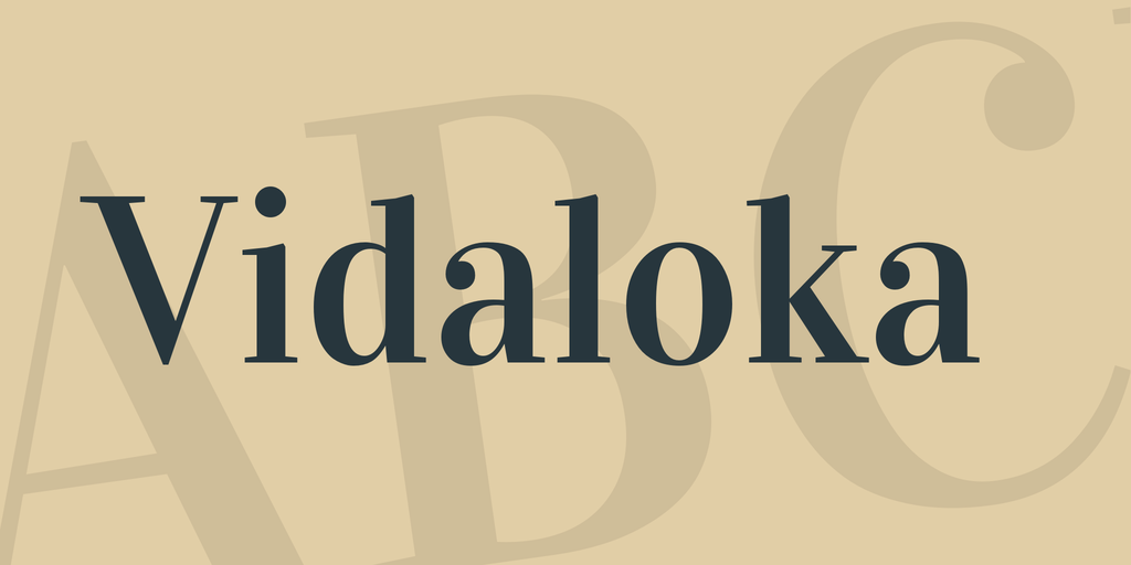 폰트 Vidaloka