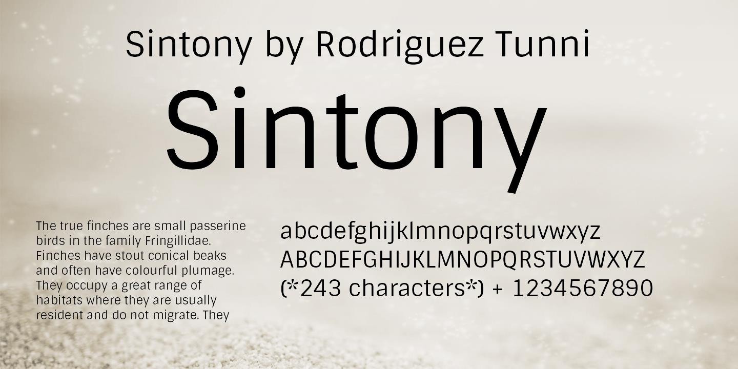 폰트 Sintony