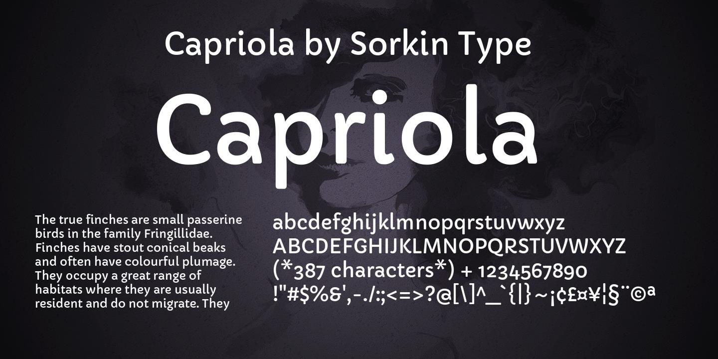 폰트 Capriola