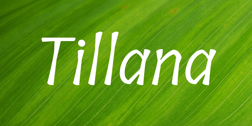 폰트 Tillana