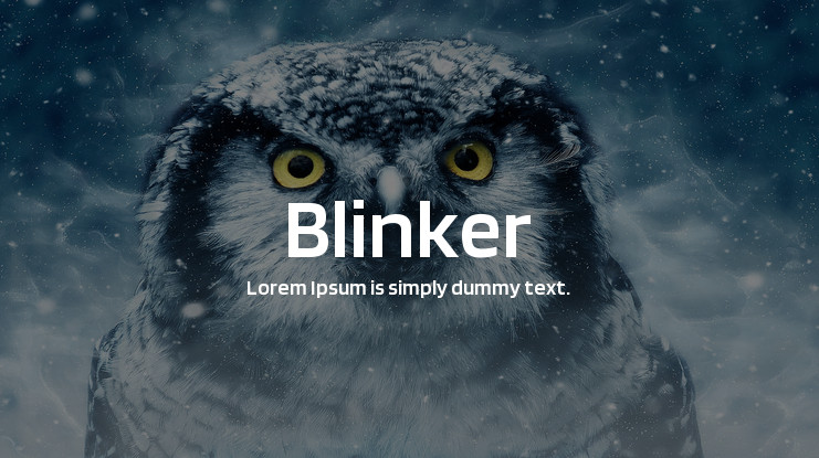 폰트 Blinker