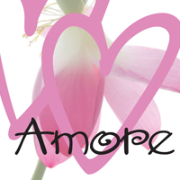 폰트 Amore