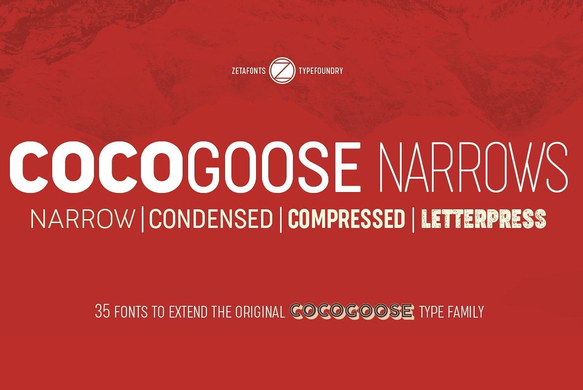 폰트 Cocogoose