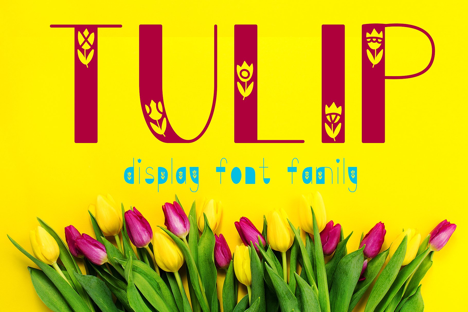 폰트 Tulip