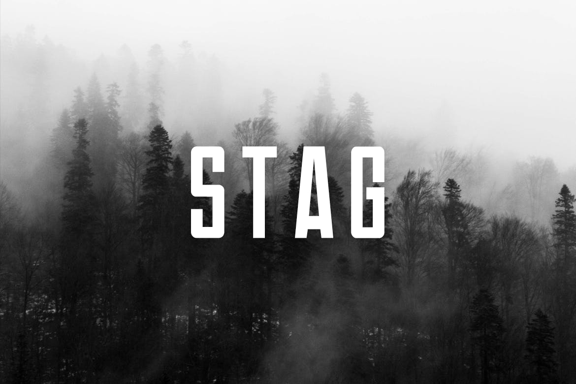 폰트 Stag