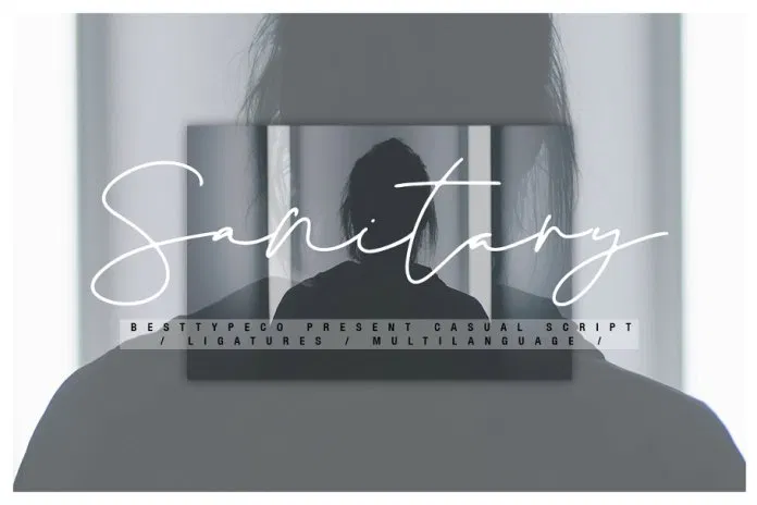 폰트 Sanitary