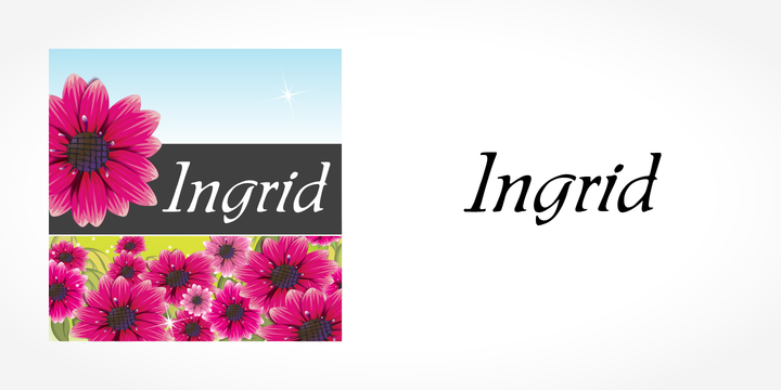 폰트 Ingrid