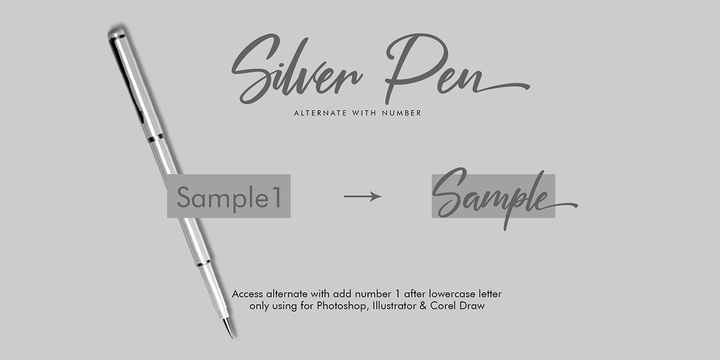Silver Pen