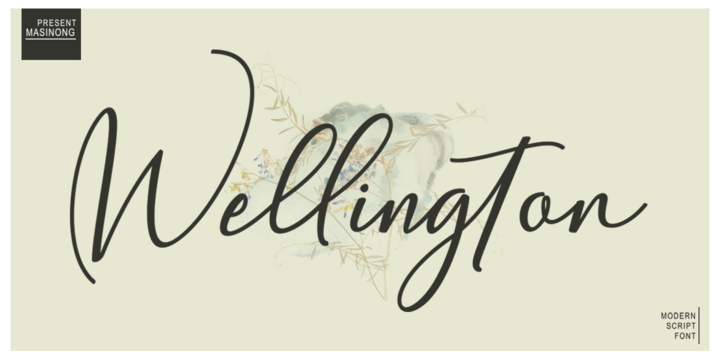 폰트 Wellington