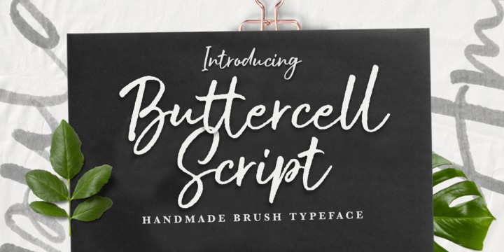 폰트 Buttercell Script