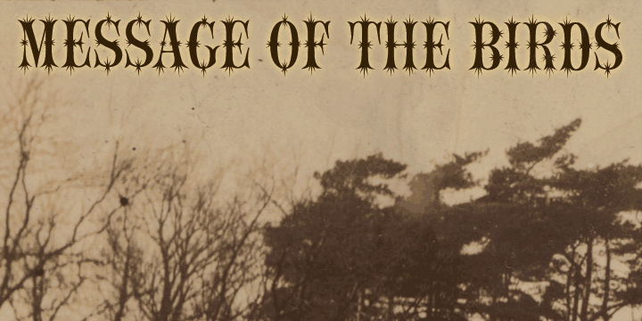 Message of the Birds