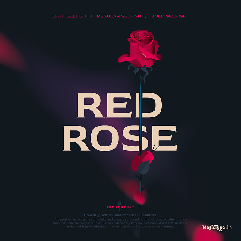 폰트 Red Rose