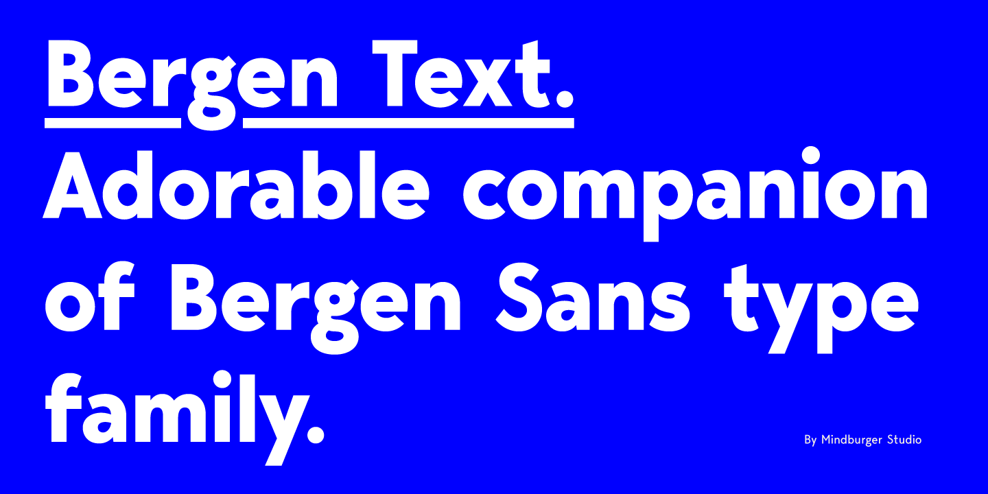 폰트 Bergen Text