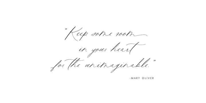 Rare Bird Specimen VI