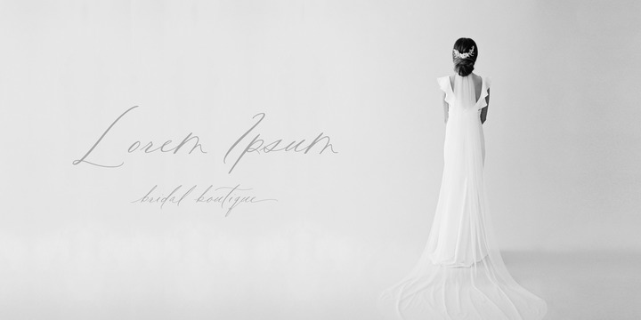 Rare Bird Specimen VI