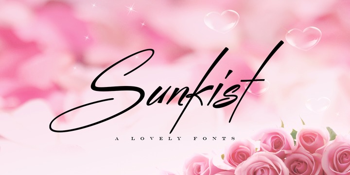 폰트 Sunkist