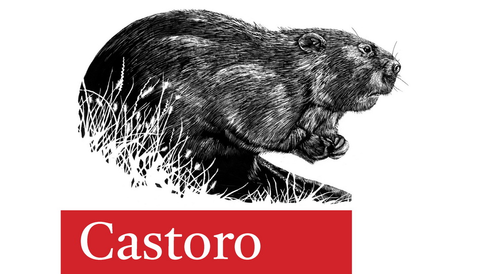 폰트 Castoro