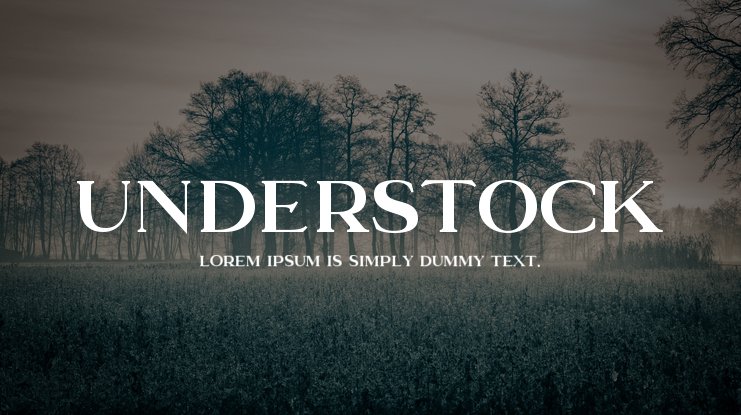 폰트 Understock