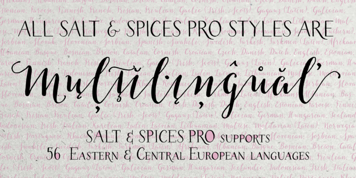 Salt & Spices Pro