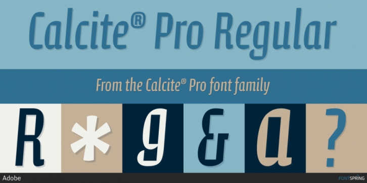 폰트 Calcite Pro