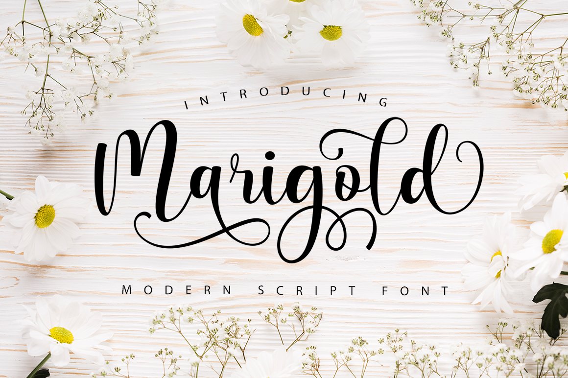 폰트 Marigold