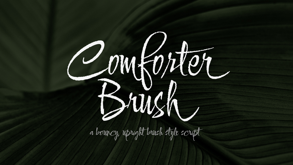폰트 Comforter Brush
