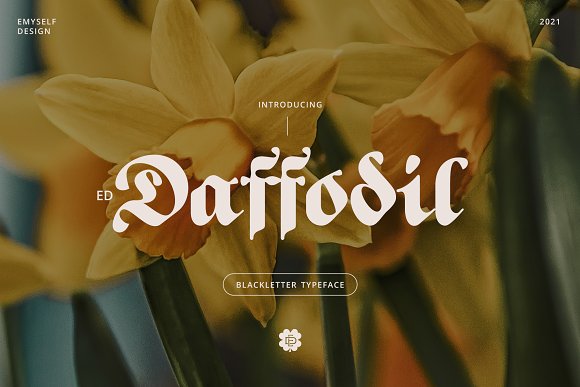 폰트 ED Daffodil