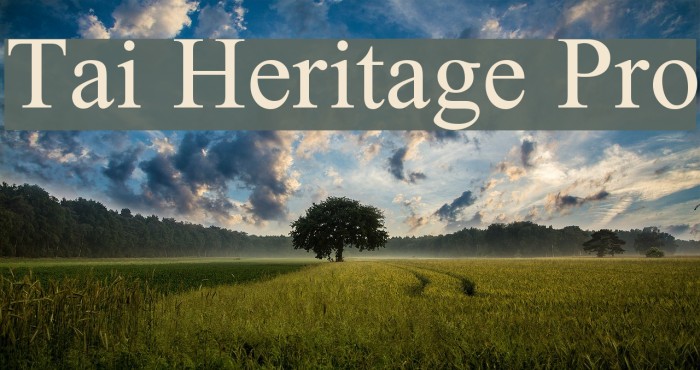폰트 Tai Heritage Pro