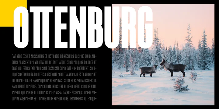 폰트 Ottenburg Display