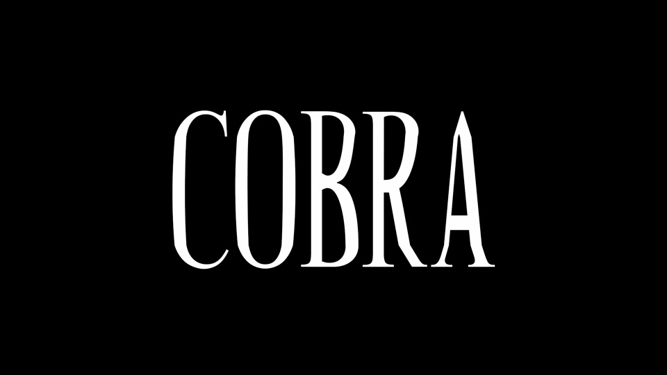 폰트 Cobra