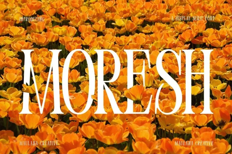 폰트 Moresh