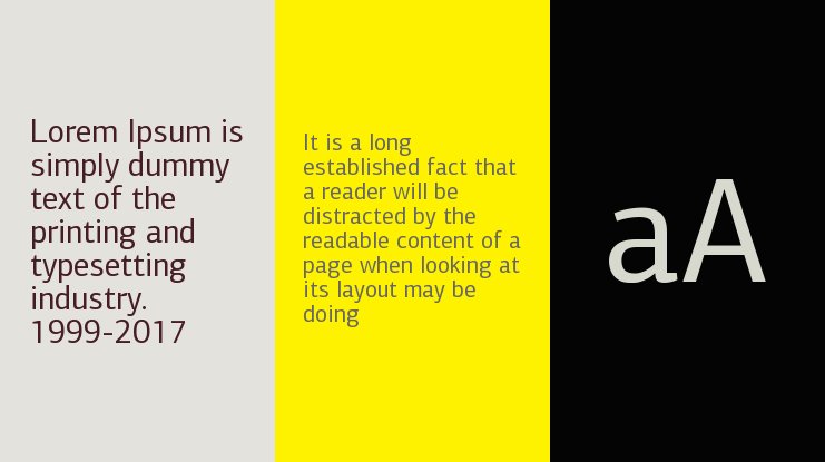 폰트 PF Agora Serif Pro