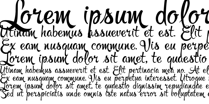 폰트 Rupster Script Free