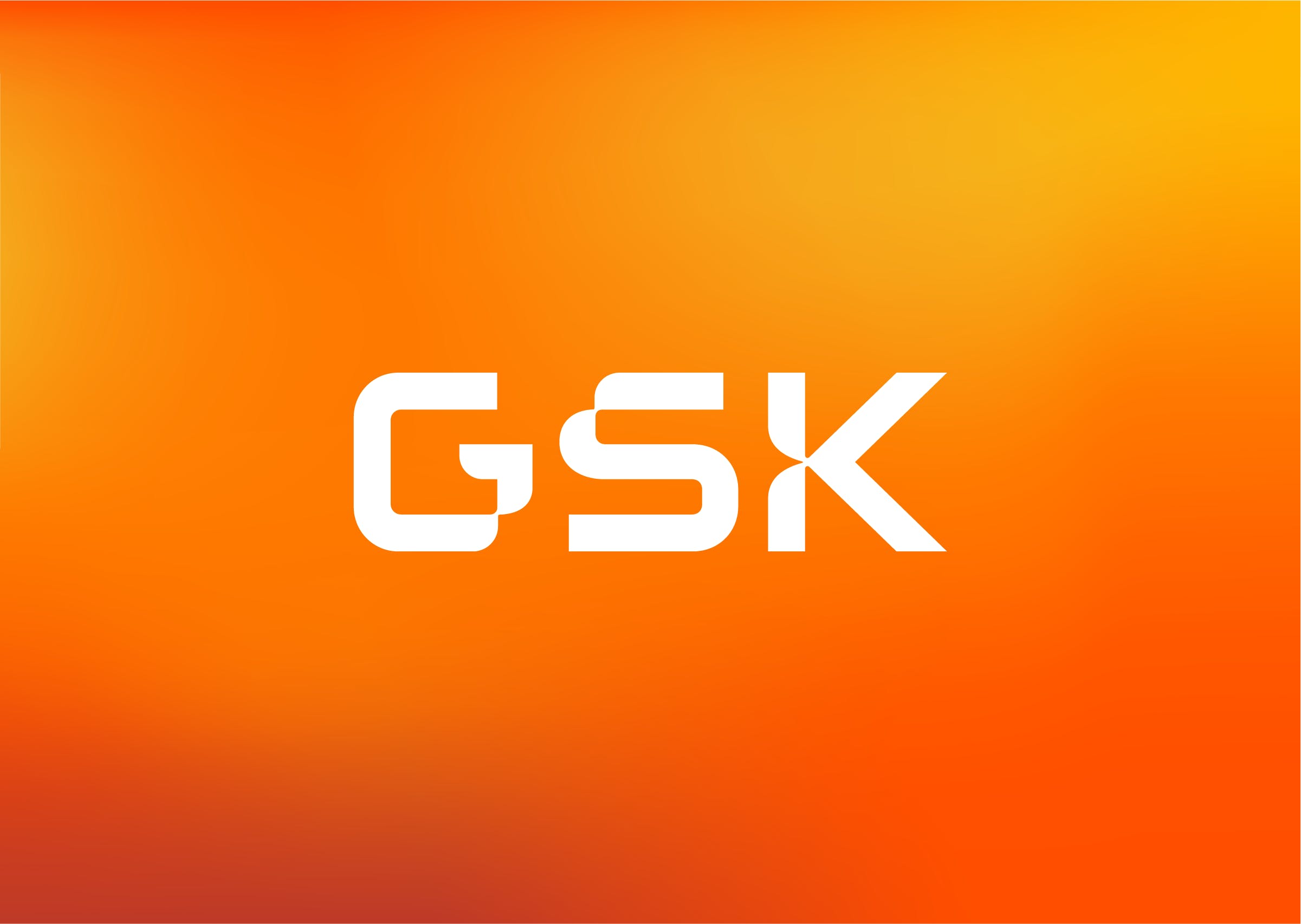 폰트 GSK Precision