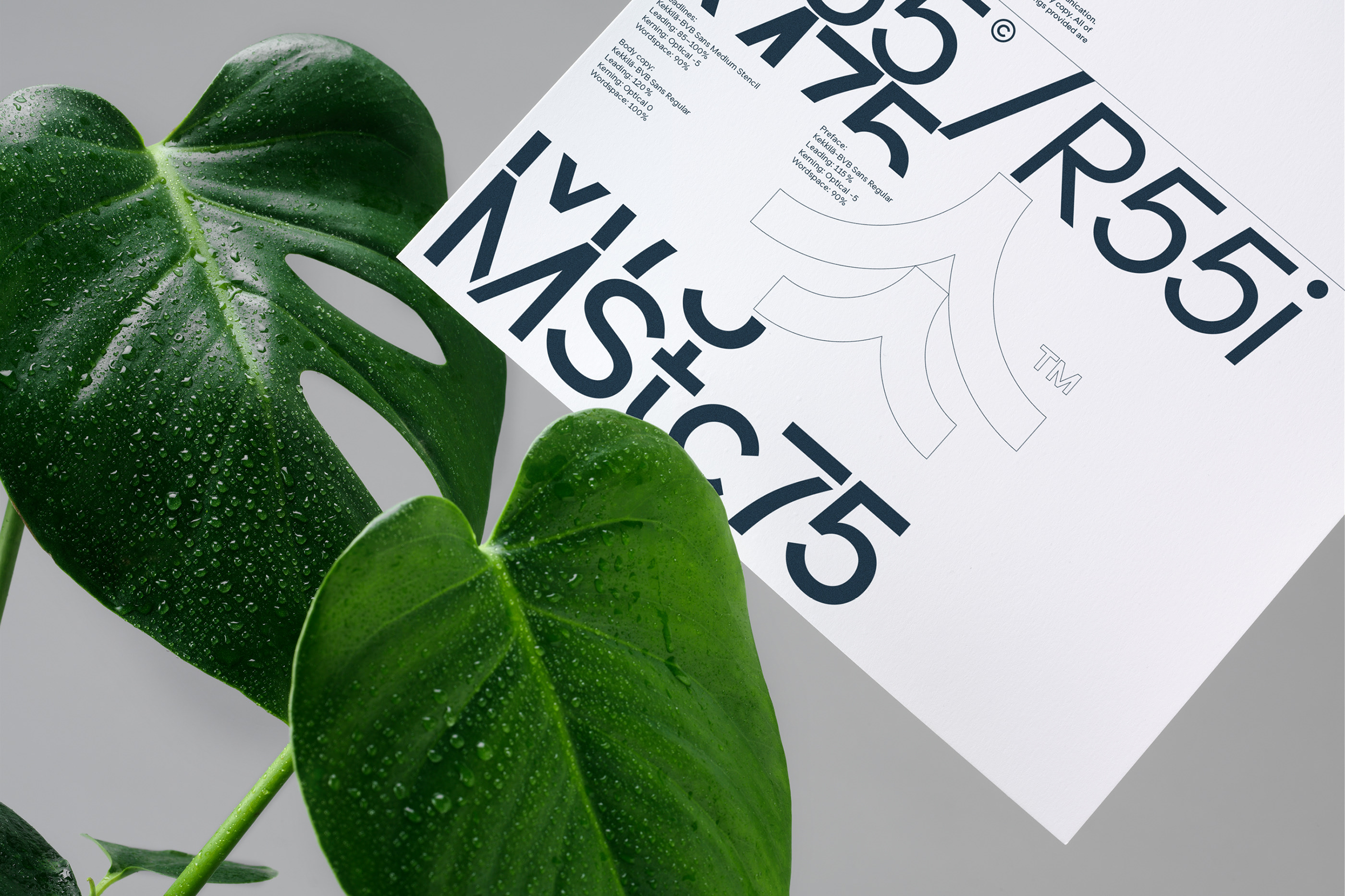 폰트 Kekkila BVB Sans