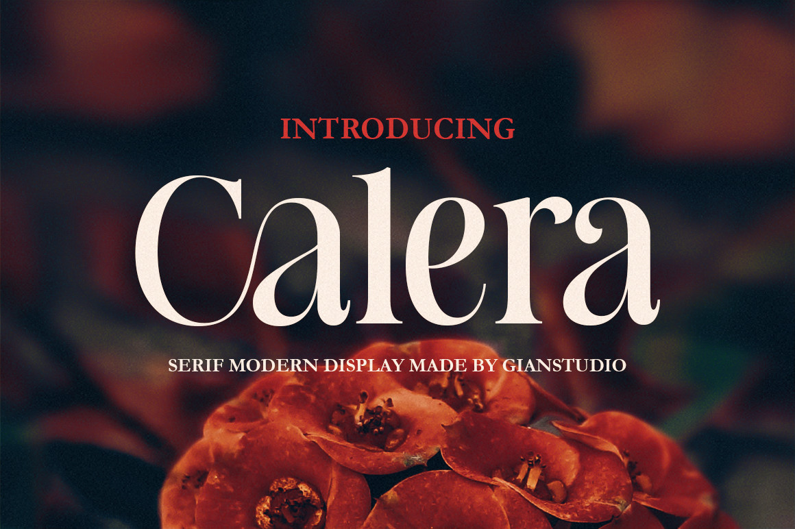 폰트 Calera