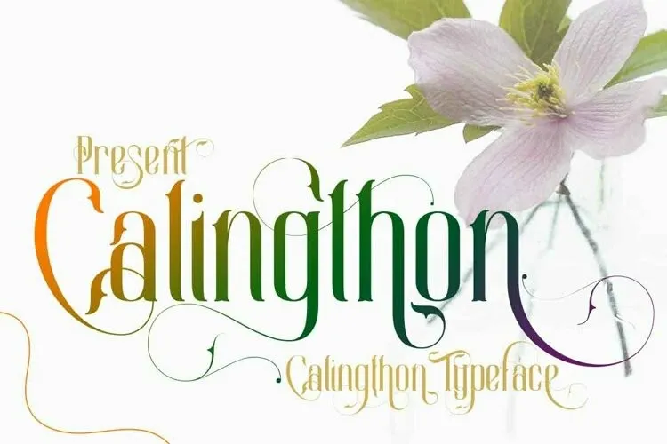 폰트 Calingthon