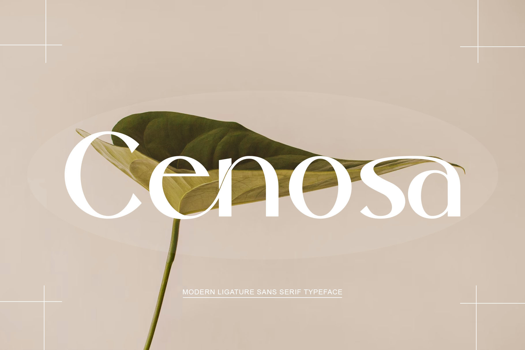 폰트 Cenosa