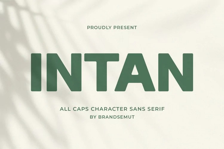 폰트 Intan