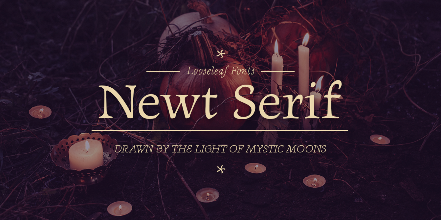 폰트 Newt Serif