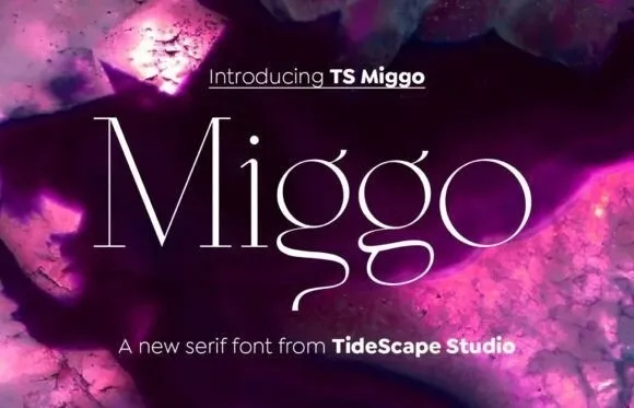 TS Miggo