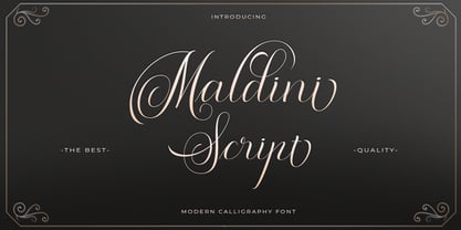 폰트 Maldini Script