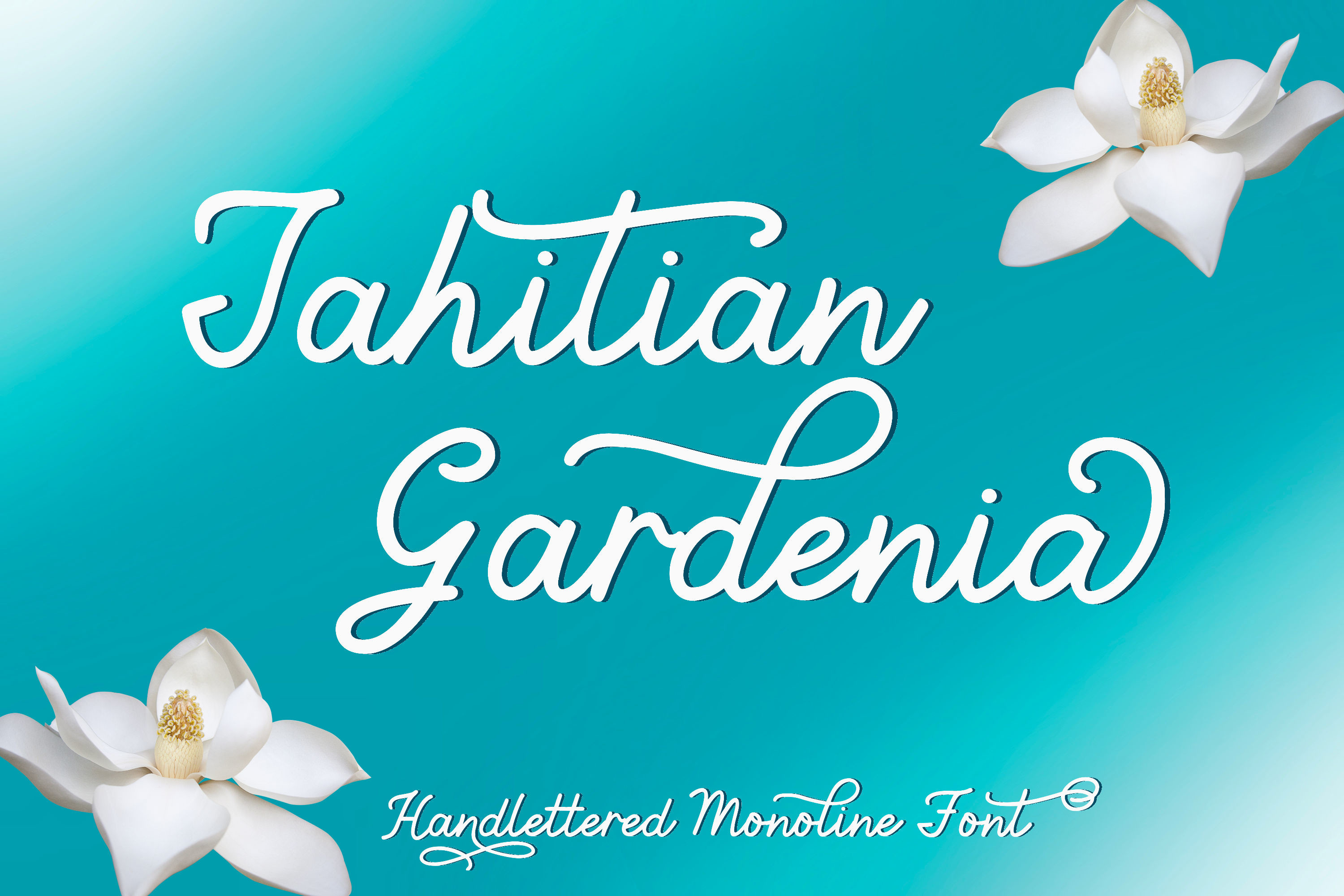 폰트 Tahitian Gardenia