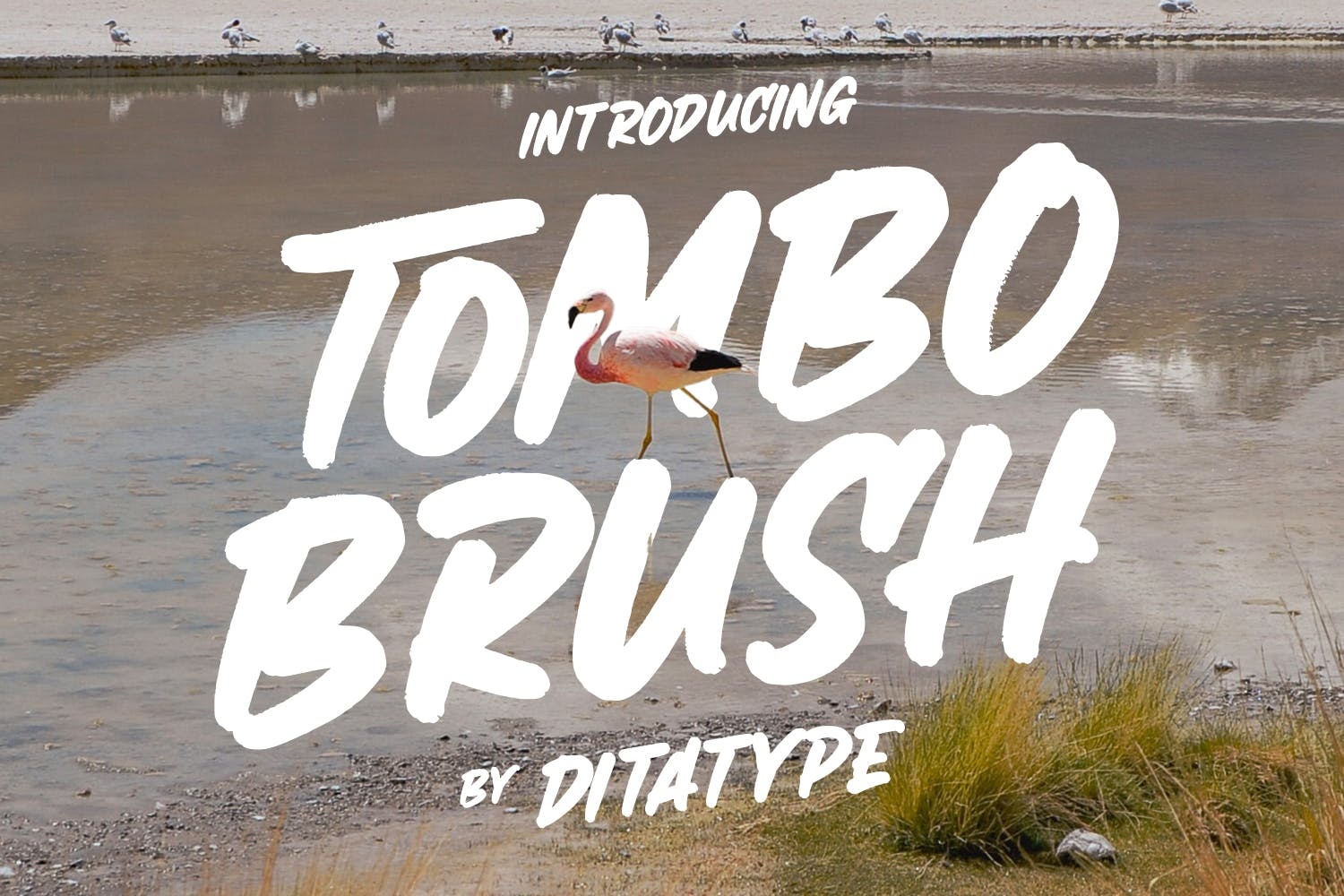 폰트 Tombo Brush