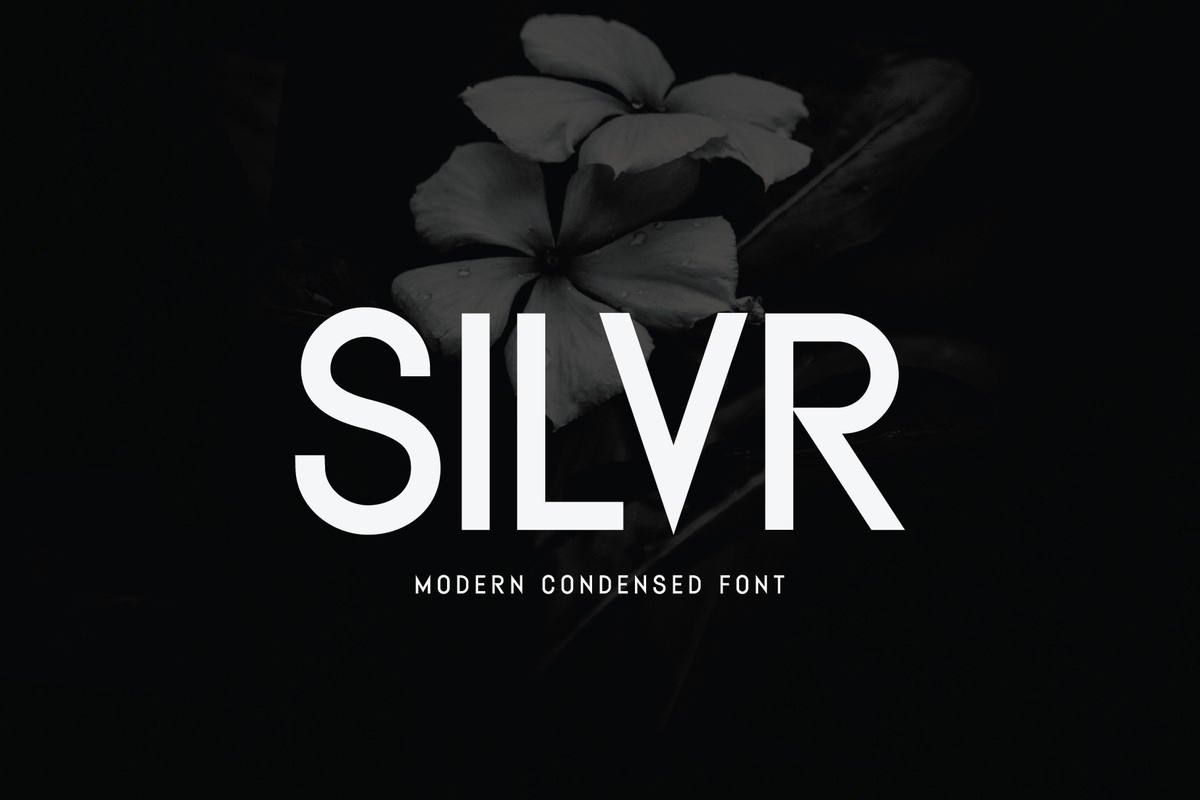 폰트 Silvr